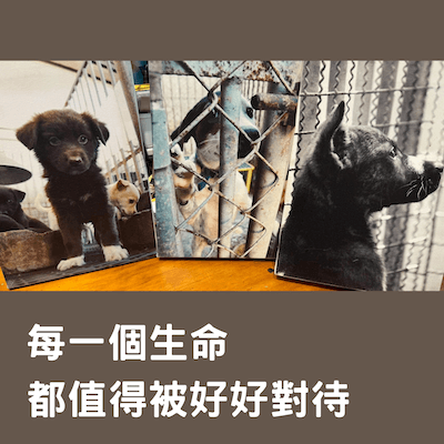 台灣NOE行動組織