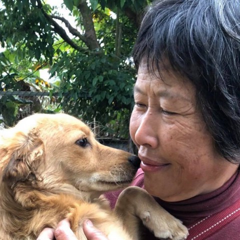 花蓮縣流浪動物救助協會