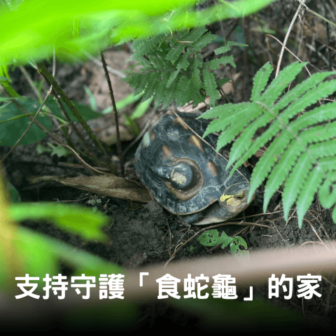 雲林縣湖山水庫人文生態保護協會